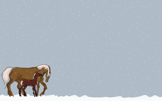 530230 (a): :1680x1050
